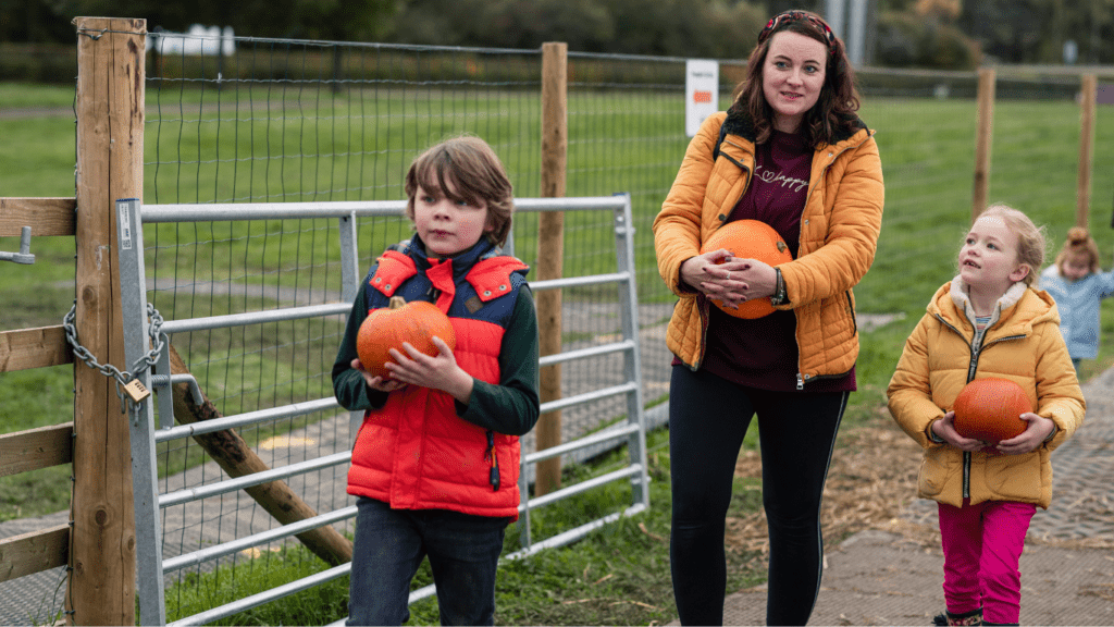 Seasonal Activities To Enjoy Together