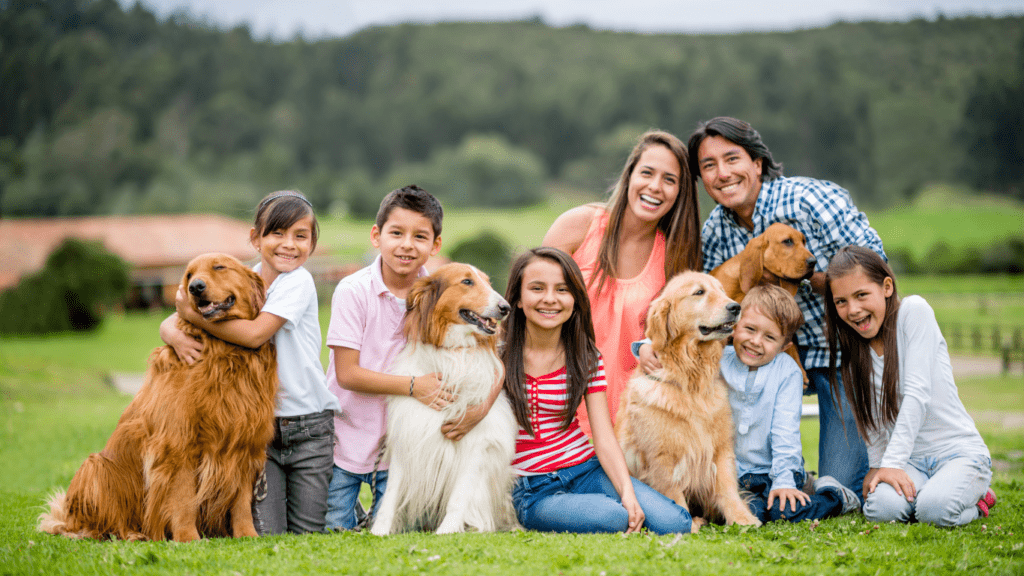 What You Should Know About Building a Resilient, Joyful Family Life