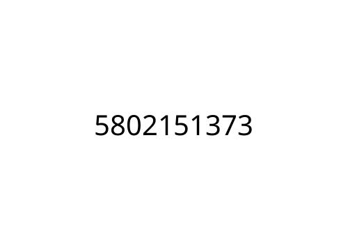 5802151373