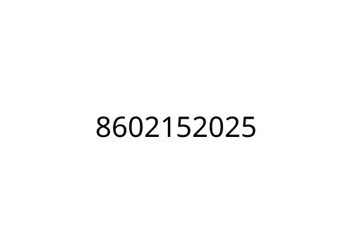 8602152025