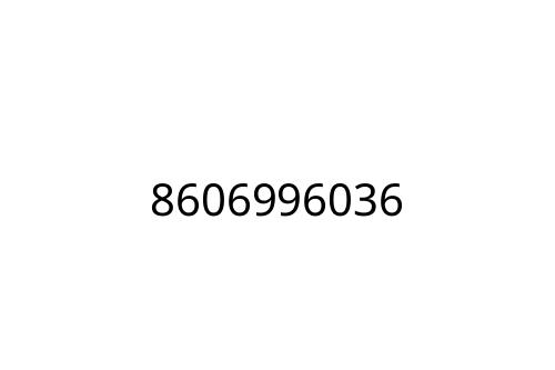 8606996036