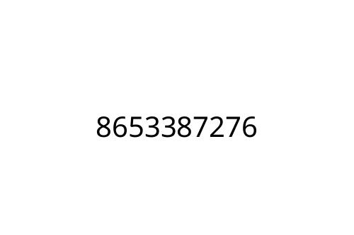 8653387276