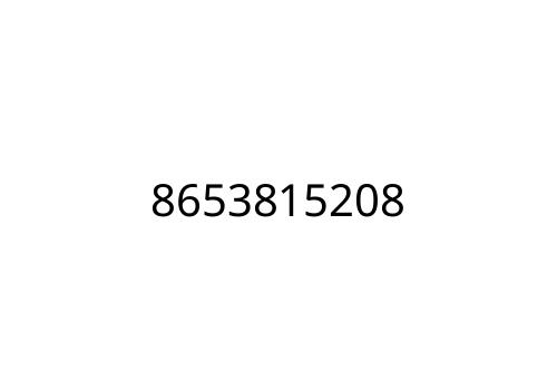 8653815208