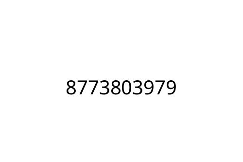 8773803979