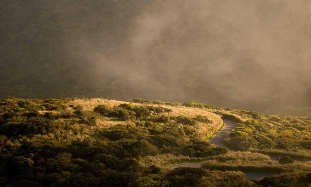 feduspray home air freshener spray