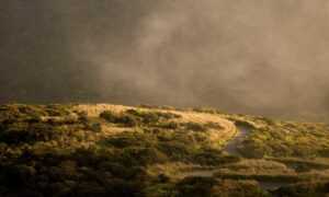 feduspray home air freshener spray