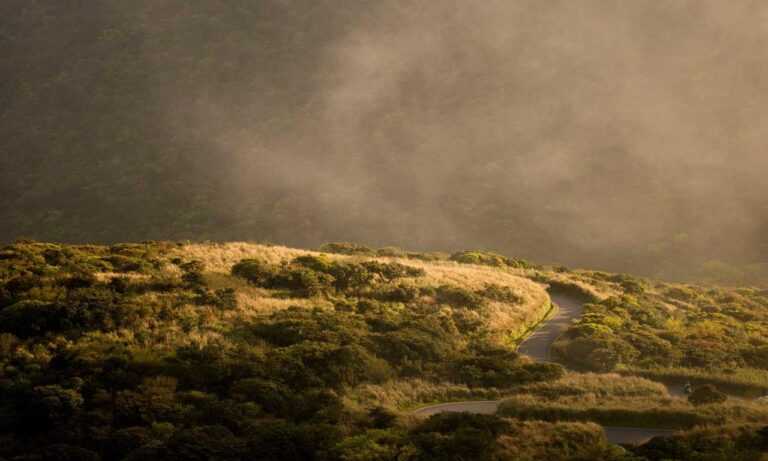 feduspray home air freshener spray