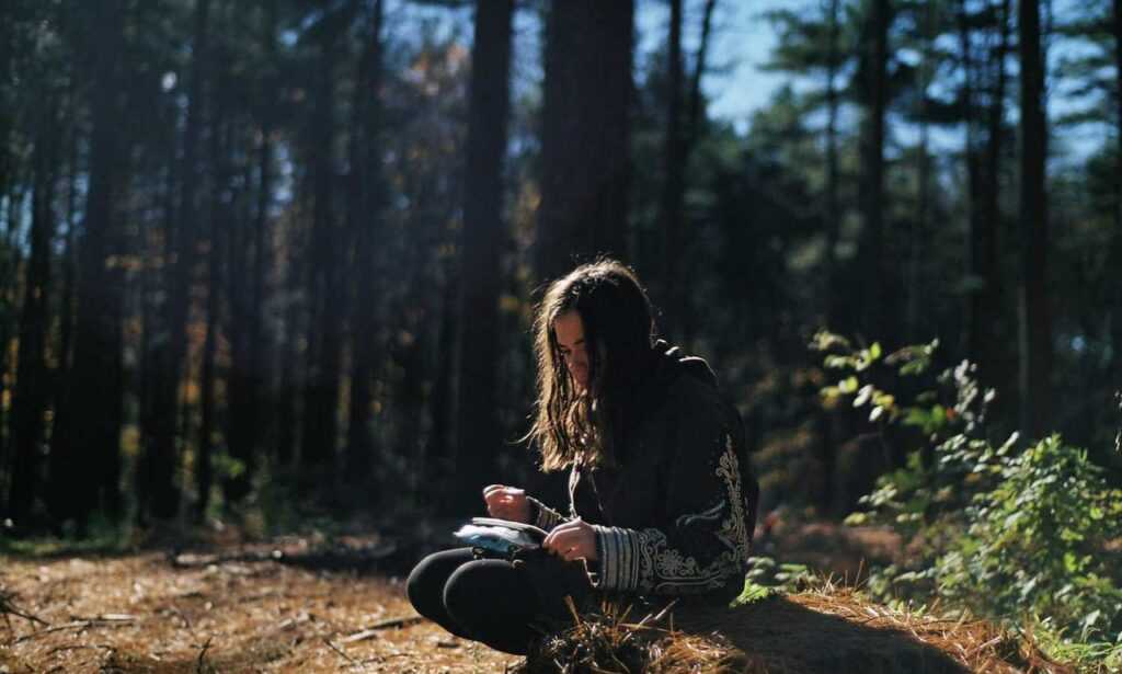 what should i serve with renkooki