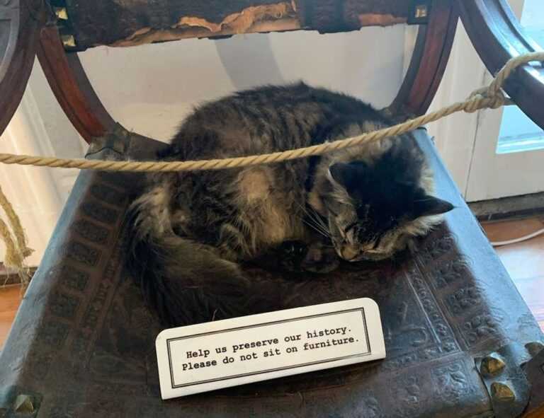 why biohunt2000 game are popular