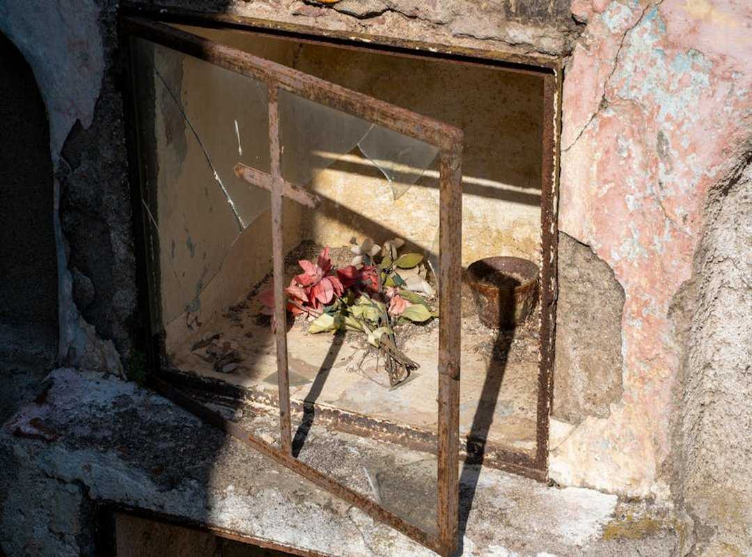 Beyond the Big Four: Finding Value in Niche Sports