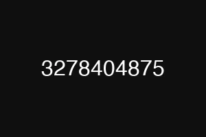 3278404875