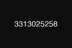 3313025258