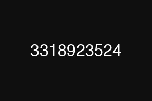 3318923524