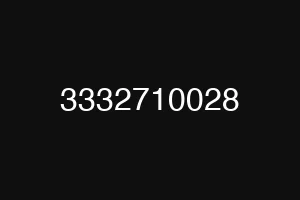 3332710028