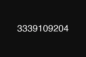 3339109204