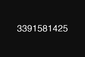 3391581425