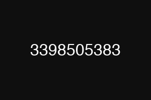 3398505383