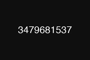 3479681537