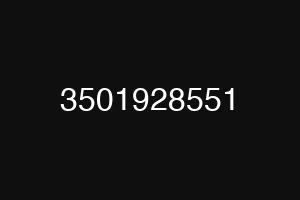 3501928551