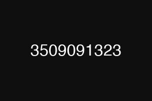 3509091323