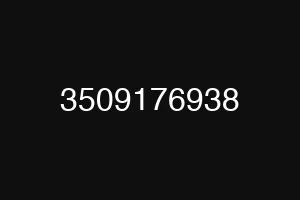 3509176938