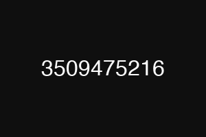 3509475216