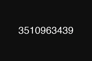 3510963439