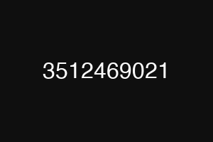 3512469021
