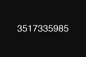 3517335985