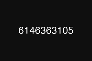 6146363105