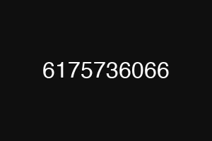 6175736066