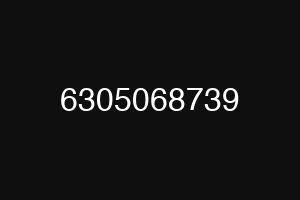 6305068739