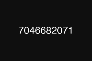 7046682071