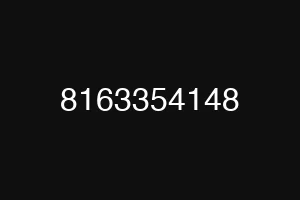 8163354148