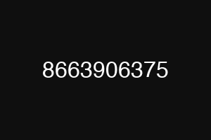 8663906375