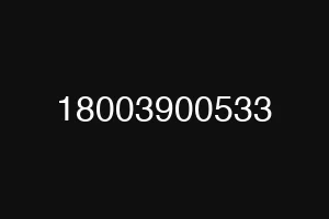 18003900533
