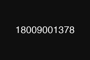 18009001378