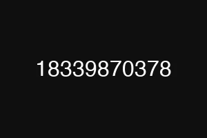 18339870378