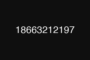 18663212197