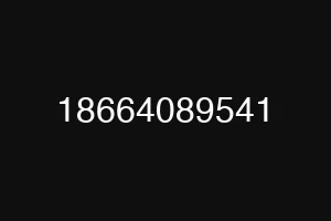 18664089541