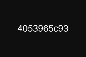 4053965c93