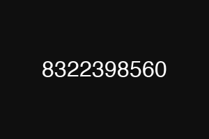 8322398560