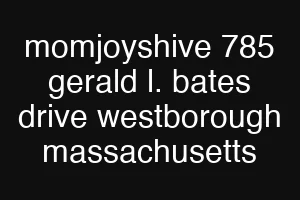 momjoyshive 785 gerald l. bates drive westborough massachusetts